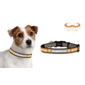 Tennessee Volunteers Classic Leather Toy Football Collar