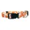 Tennessee Volunteers Pet Collar Size L