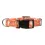 Texas Longhorns Pet Collar Size L - Special Order