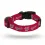 Washington Nationals Pet Collar Size L