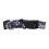 Winnipeg Jets Pet Collar Size L - Special Order