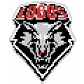 New Mexico Lobos