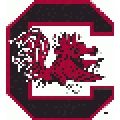 South Carolina Gamecocks