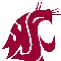 Washington State Cougars