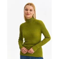 Turtleneck model 186370 Top Secret