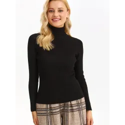 Turtleneck model 187654 Top Secret