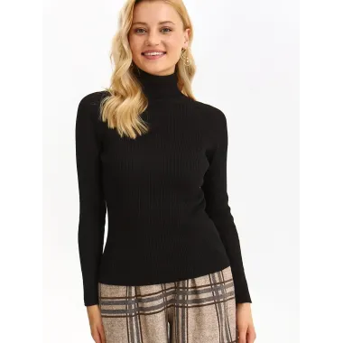 Turtleneck model 187654 Top Secret