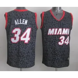 Miami Heat #34 Ray Allen Black Leopard Print Fashion Jerseys