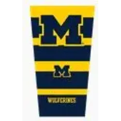 Michigan Wolverines Strong Arm Sleeve