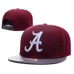 Alabama Crimson Tide Team Logo Burgundy Gray Adjustable Hat GS