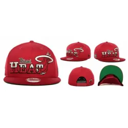 Miami Heat NBA Snapback Stitched Hats LTMY (12)