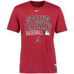 Men\'s Arizona Diamondbacks Nike Crimson 2016 Authentic Collection Legend Team Issue Spring Training Performance T-Shirt