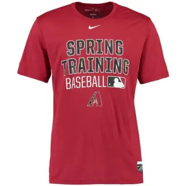 Men's Arizona Diamondbacks Nike Crimson 2016 Authentic Collection Legend Team Issue Spring Training Performance T-Shirt