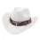 Western Ethnic Cowboy Bull Head Felt Hat