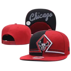 Bulls Team Logo Red Split Adjustable Hat GS