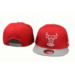 Chicago Bulls NBA Snapback Stitched Hats LTMY (16)