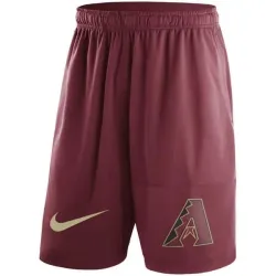 Men\'s Arizona Diamondbacks Nike Red Dry Fly Shorts