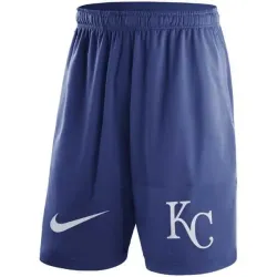 Men\'s Kansas City Royals Nike Royal Dry Fly Shorts FengYun