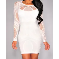 Mesh Insert Long Sleeve Bodycon Dress