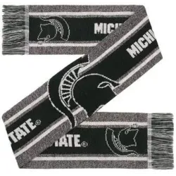 Michigan State Spartans Scarf Big Logo Wordmark Gray