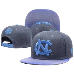 North Carolina Tar Heels Team Logo Gray Ajustable Hat GS