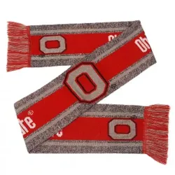 Ohio State Buckeyes Scarf Big Logo Wordmark Gray