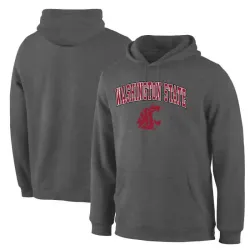 Washington State Cougars Charcoal Campus Pullover Hoodie